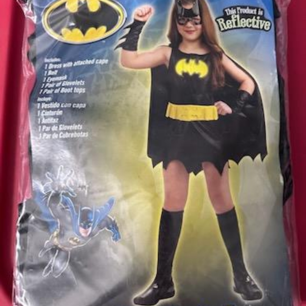 Batgirl Costume